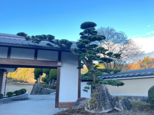 🌅新年ご挨拶🎍