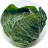 キャベツ(丸).png