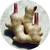 ショウガ(丸).png