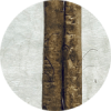 ごぼう(丸).png