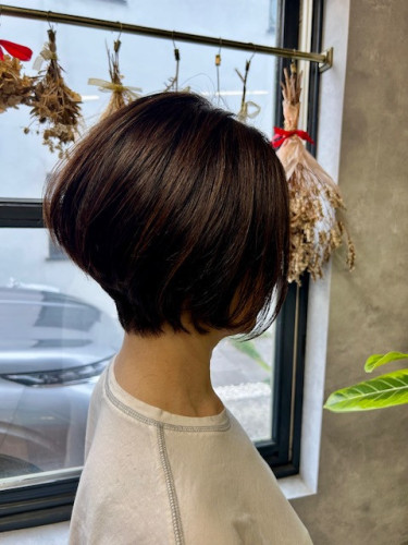 ハイポイント大人グラボブ