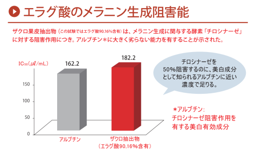 スクリーンショット (55).png