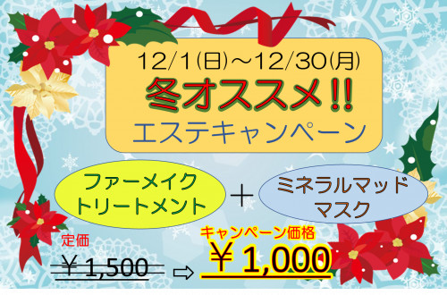 2019年　冬エステキャンペーン.png