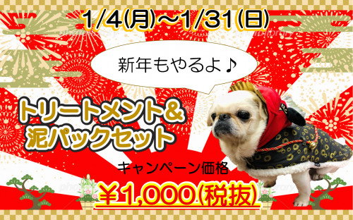 仮正月冬エステ.png