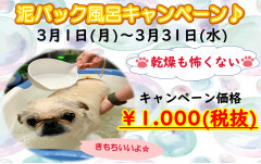 R３　3月泥パック風呂.png