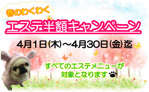 R３　4月エステ半額キャンペーン2.png