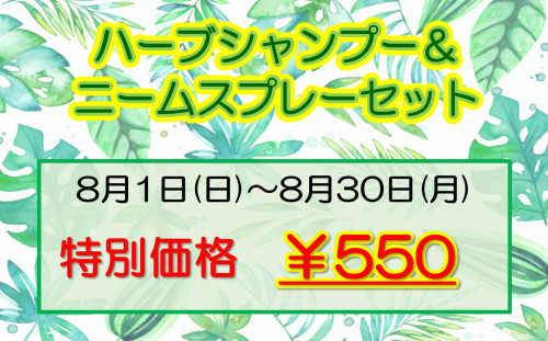 8月POP.png