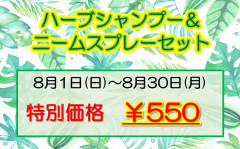 8月POP.png