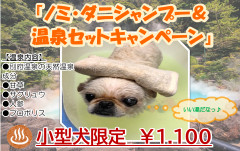 R3 9月温泉セット♨.png