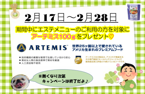アーテミスプレゼント.png
