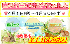 春のお出かけ3点セット.png