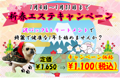 R5年　1月エステ.png