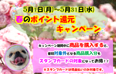 5月　ポイント還元キャンペーン.png
