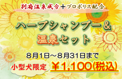 2023.8月エステ.png