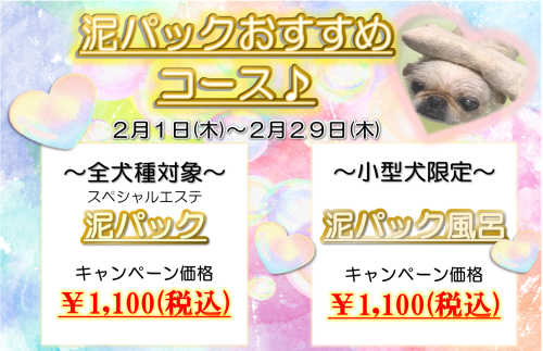 2024.2月pop.png