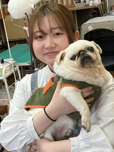 Hug三本木店に新人トリマーさんが入りました✨