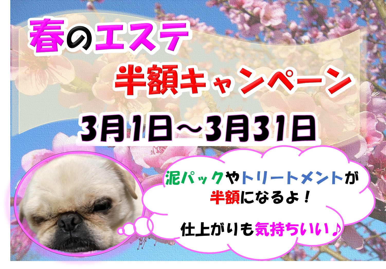 ペットサロンHug 三本木店 ～トリミング＆ペットホテル～