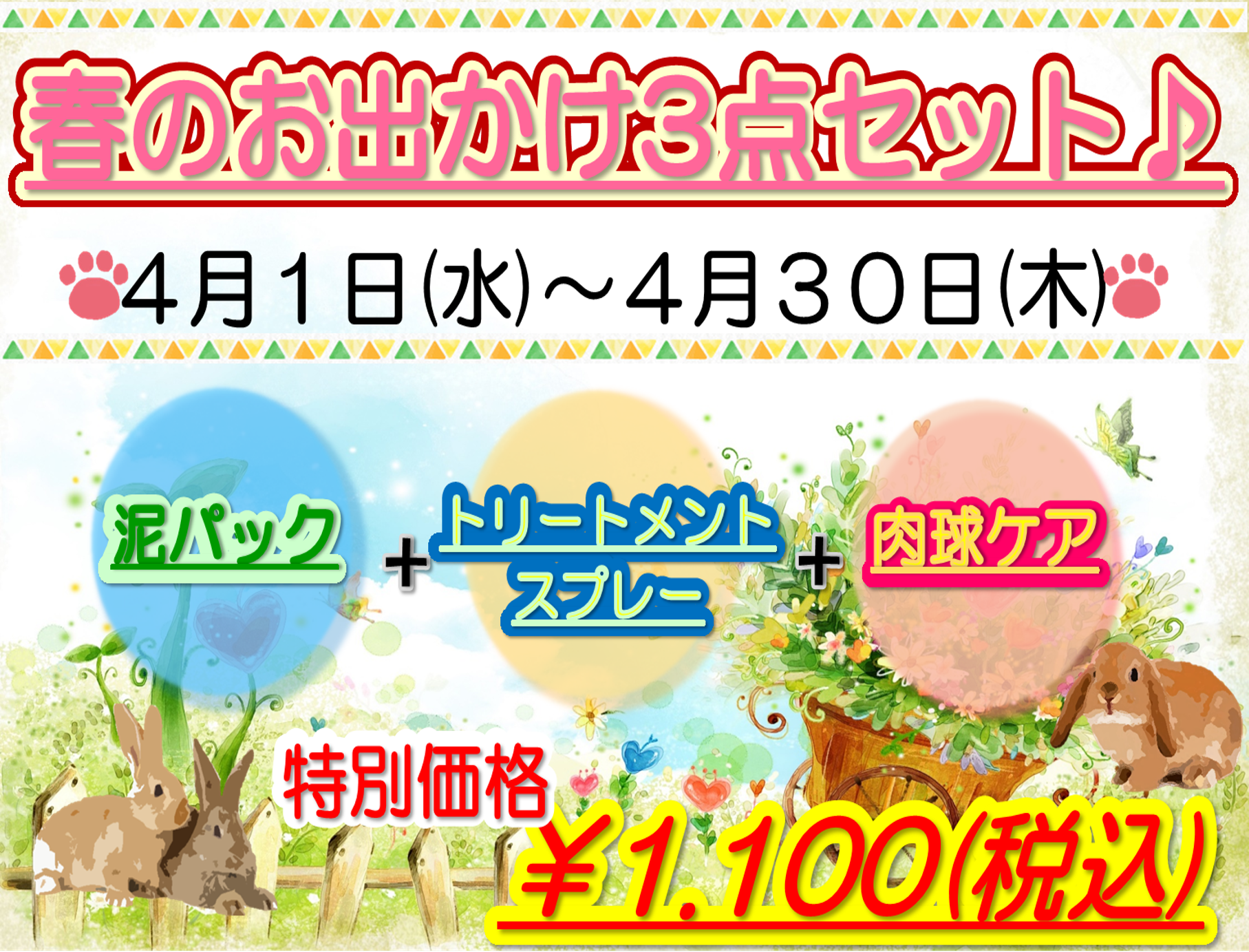 春のおススメ3点セット✨