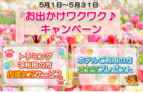 2026年5月イベント.jpg