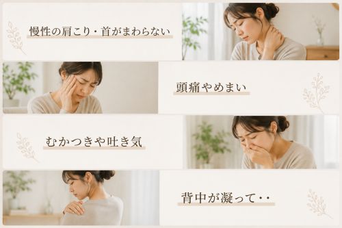 rakune2026肩用01.png