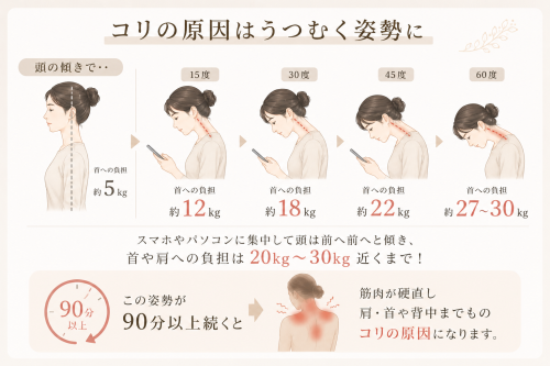 rakune2026肩用03.png