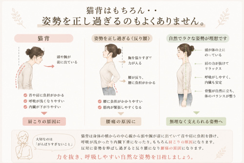 rakune2026肩用04.png