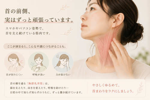rakune2026肩用06.png