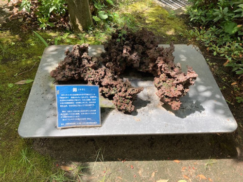 IMG_2680.jpeg