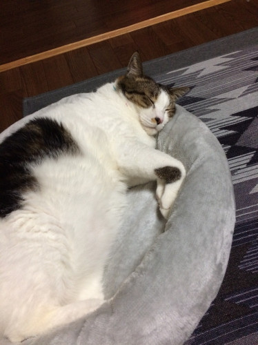 いっちゃん.jpg