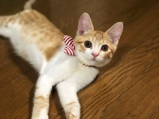 haru).jpg