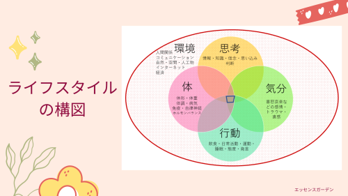 ライフスタイルダイエットセラピーの構図　20220713.png