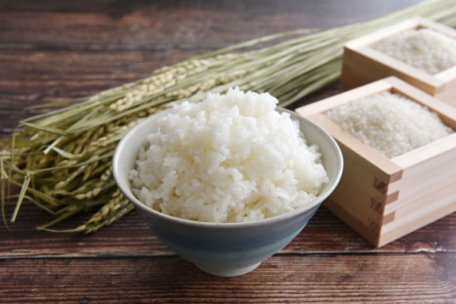お米　ご飯　稲　20230130.jpg