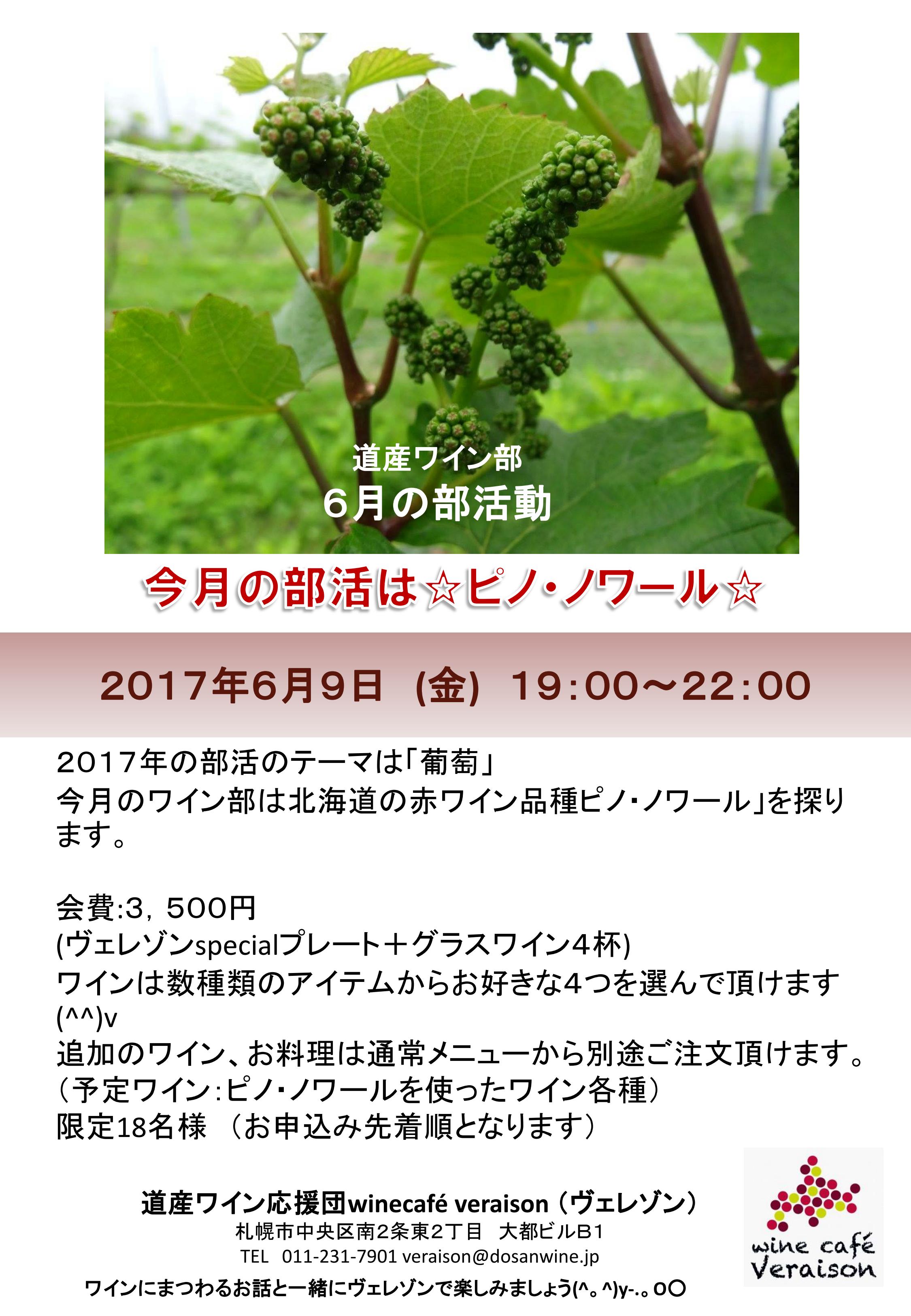 2017.6.jpg