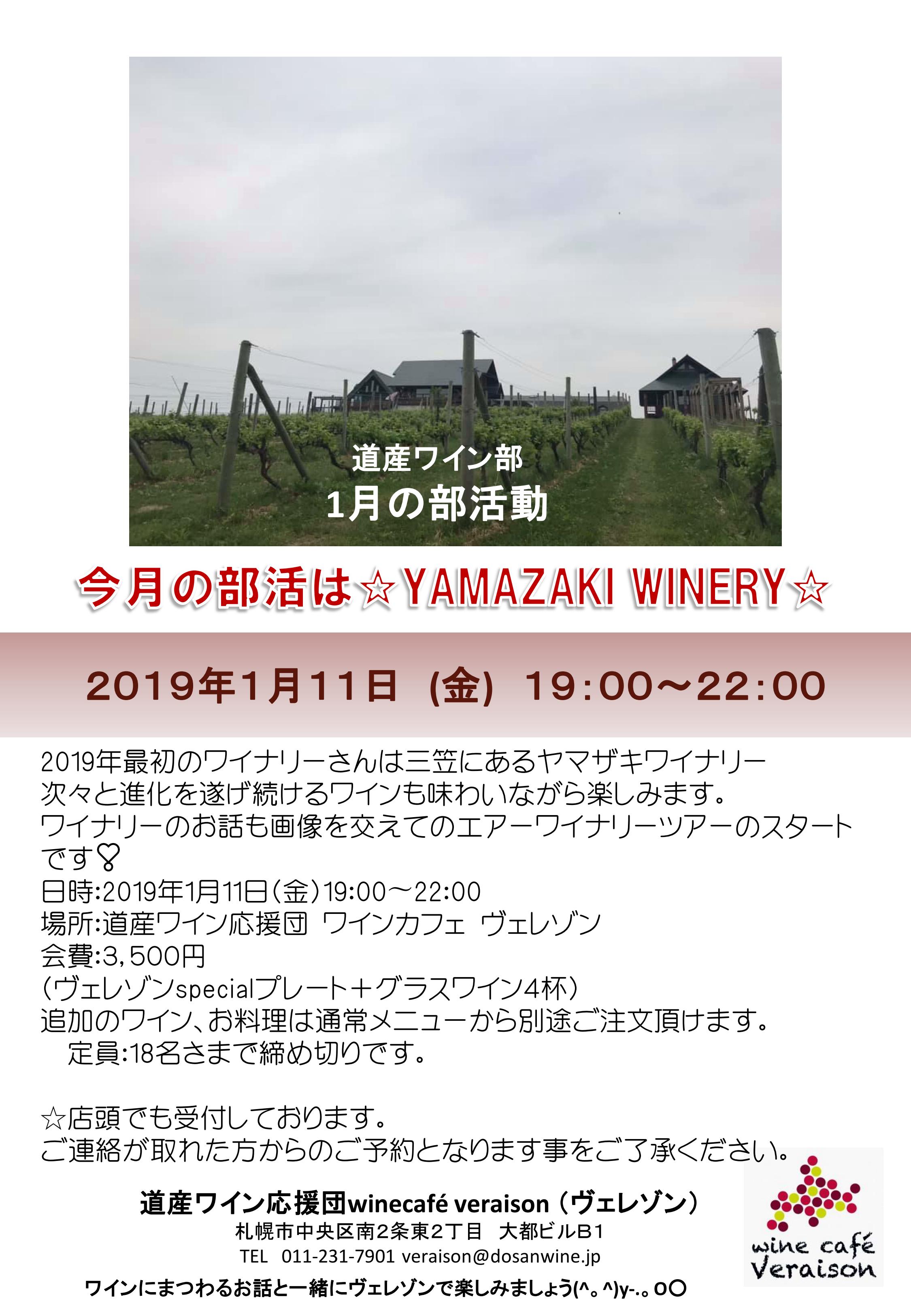 2019.1.jpg