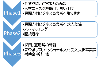 プロ人材活用の流れ.png