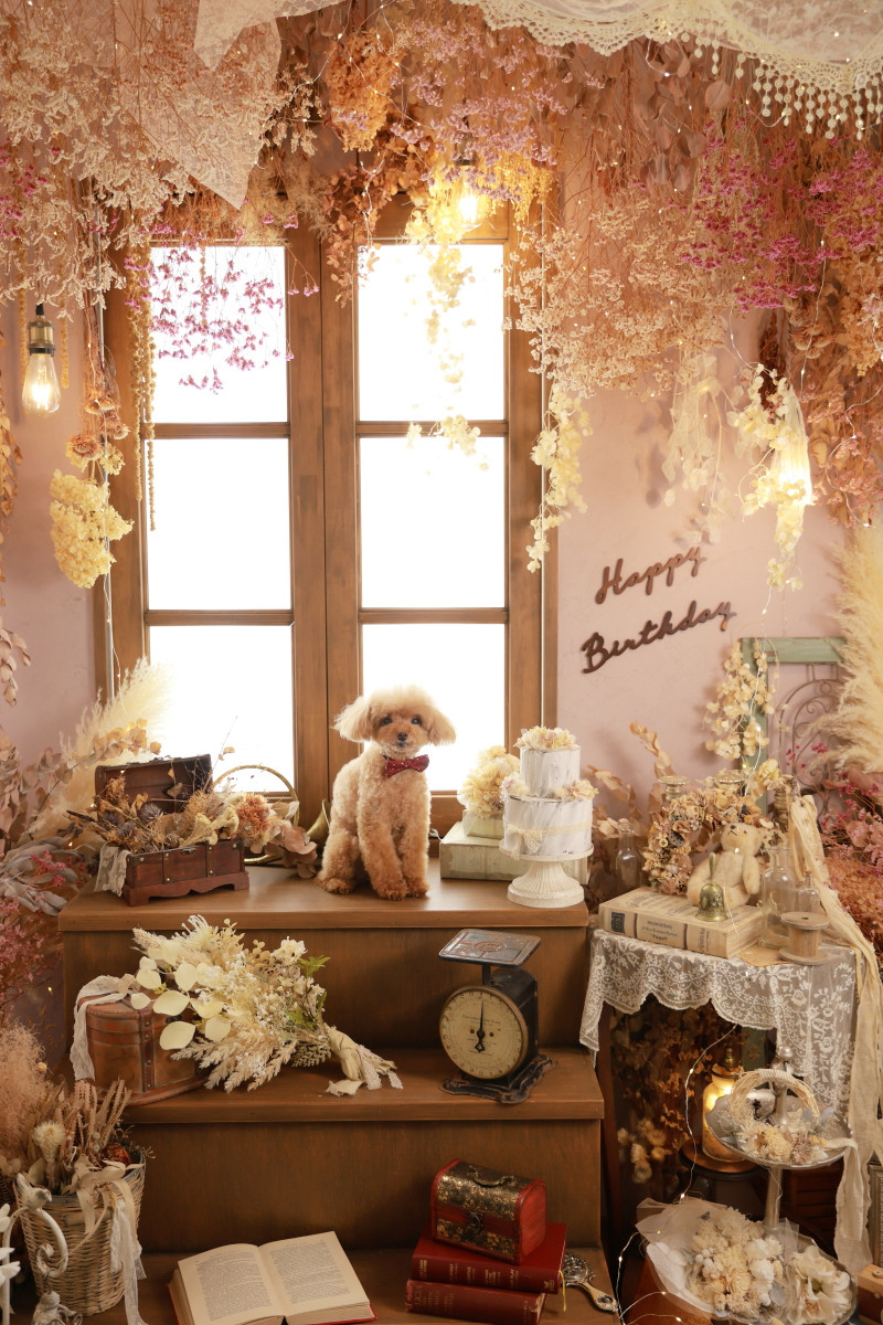 26wanko_sample_124.JPG