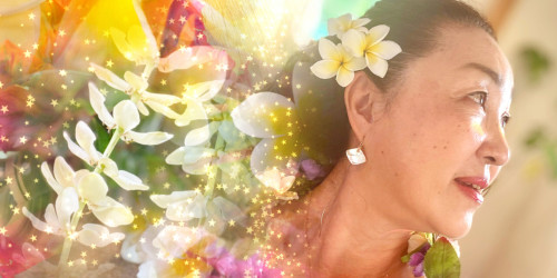 2026年HPリニューアルのお知らせ