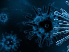 新型コロナウイルスに関する最新情報