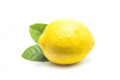 2レモン.jpg