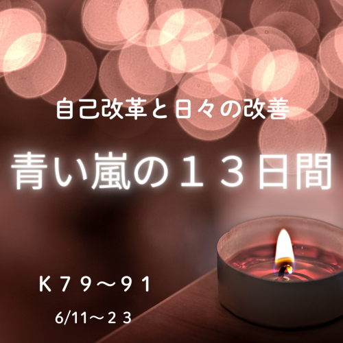 青い嵐の１３日間_20250610_230530_0000.png