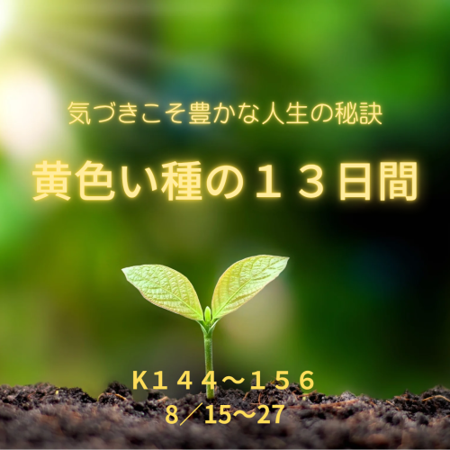 黄色い種の１３日間_20250814_222543_0000.png