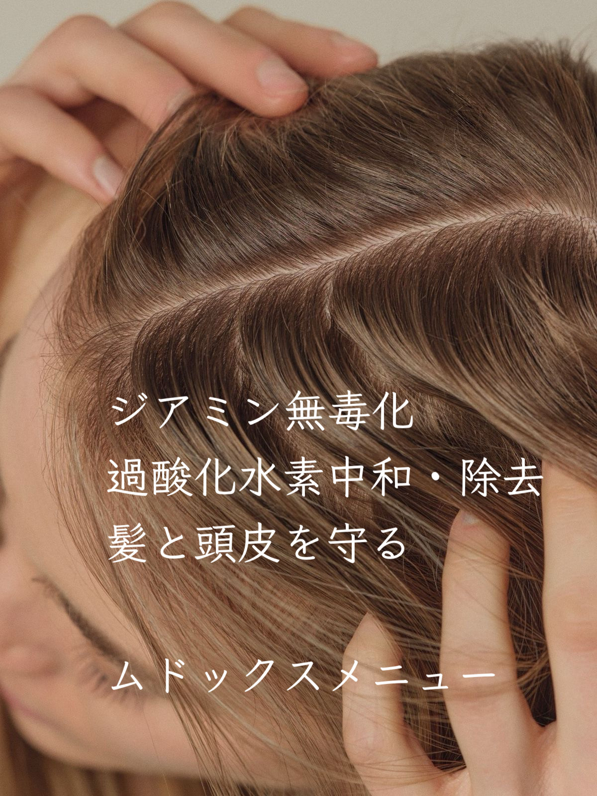 無毒化メニュー　ムドックス始動