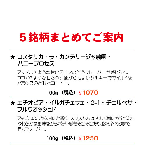 ５銘柄まとめてご案内-２.jpg