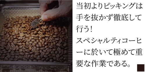 トップページ-スペシャルティコーヒーのピッキング！.jpg