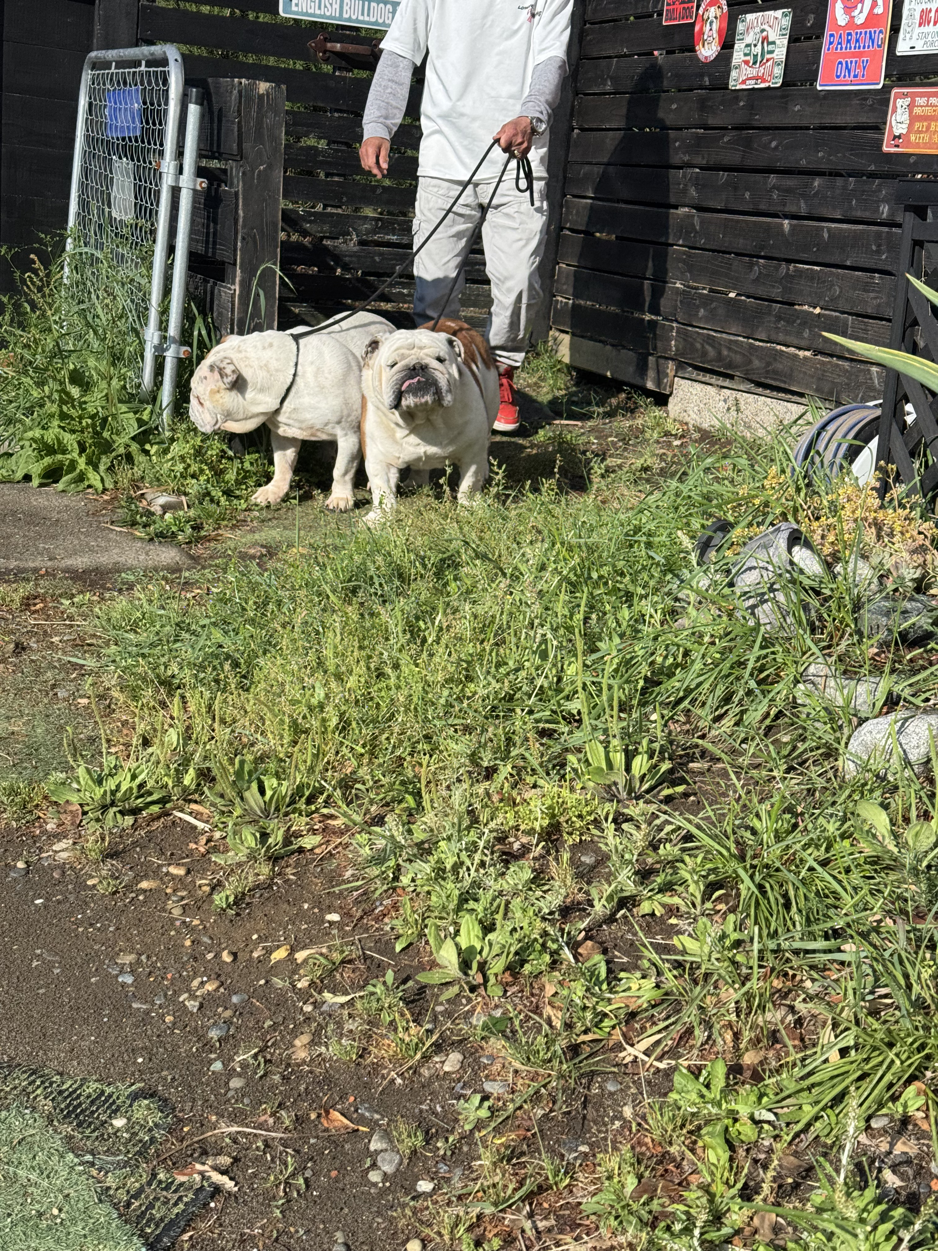 IMG_1784.jpeg