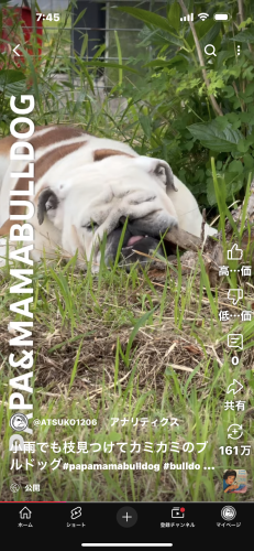 IMG_2314.png