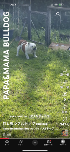 IMG_2691.png