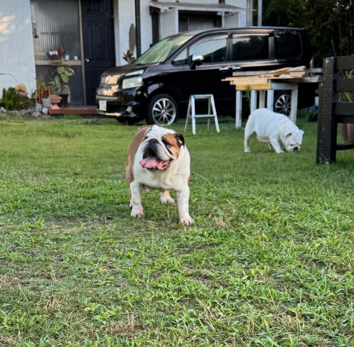 IMG_3280.jpeg