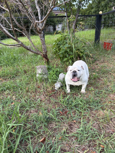 IMG_3439.jpeg