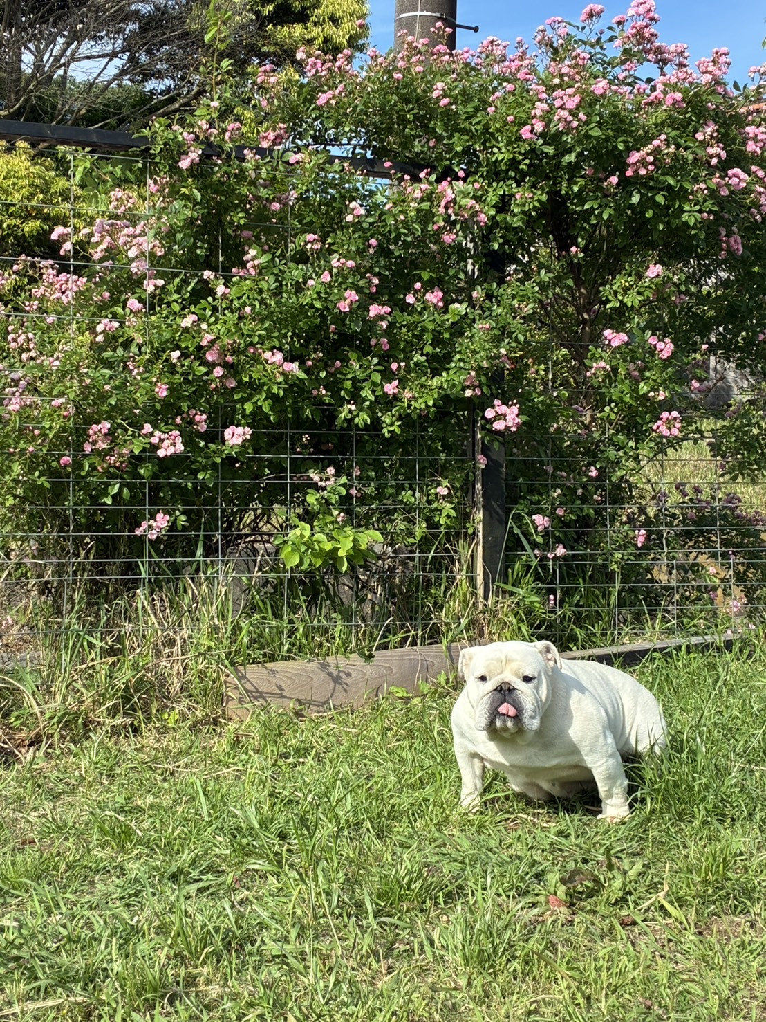 IMG_6022.jpeg